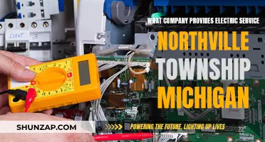 Electric Service Provider for Northville Township, Michigan: Who?