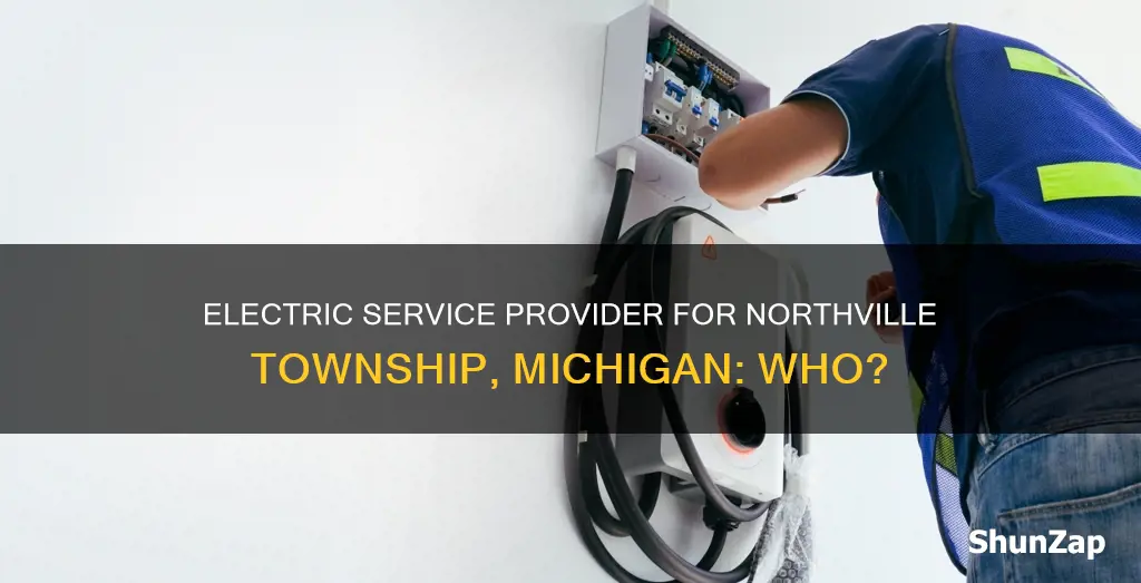 what company provides electric service northville township michigan