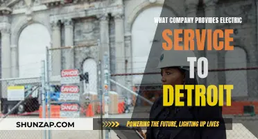 Who Powers Detroit? Uncovering the City's Electric Service Provider