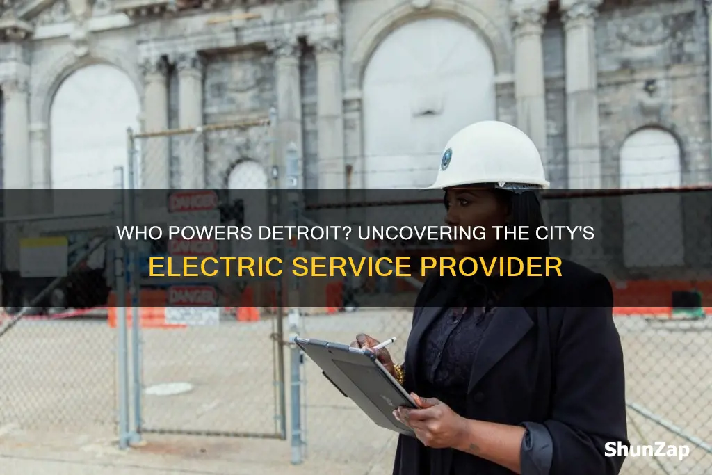 what company provides electric service to detroit