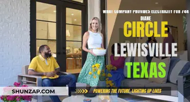 Who Powers Lewisville, Texas? Electricity Provider for 744 Diane Circle
