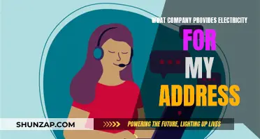 Electricity Providers: Who Powers My Address?
