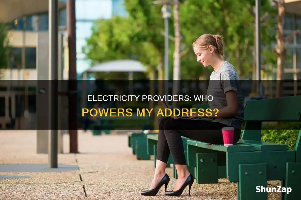 what company provides electricity for my address