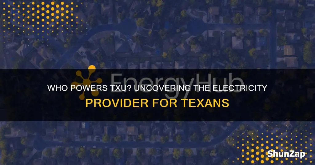 what company provides electricity for txu