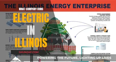 Who Powers Illinois? Electric Companies in the Prairie State