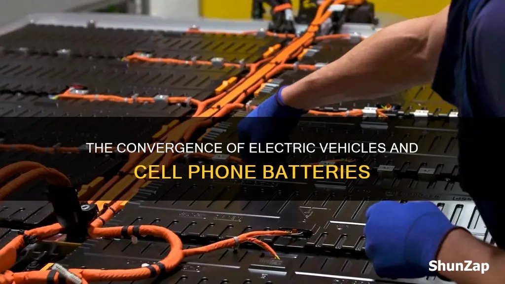 what company sells both electric vehicles and cell phone batteries