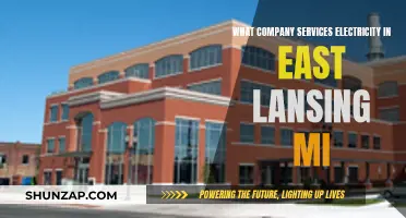 Who Powers East Lansing, Michigan? Electricity Service Provider Explained