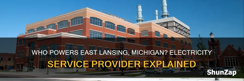 what company services electricity in east lansing mi