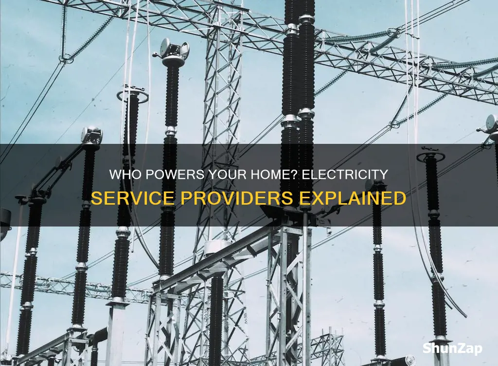 what company services my electricity