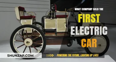 Pioneering the Electric Revolution: The First Company to Sell Electric Cars