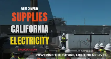 Who Powers California? Electricity Suppliers in the Golden State