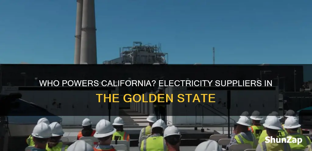 what company supplies california electricity