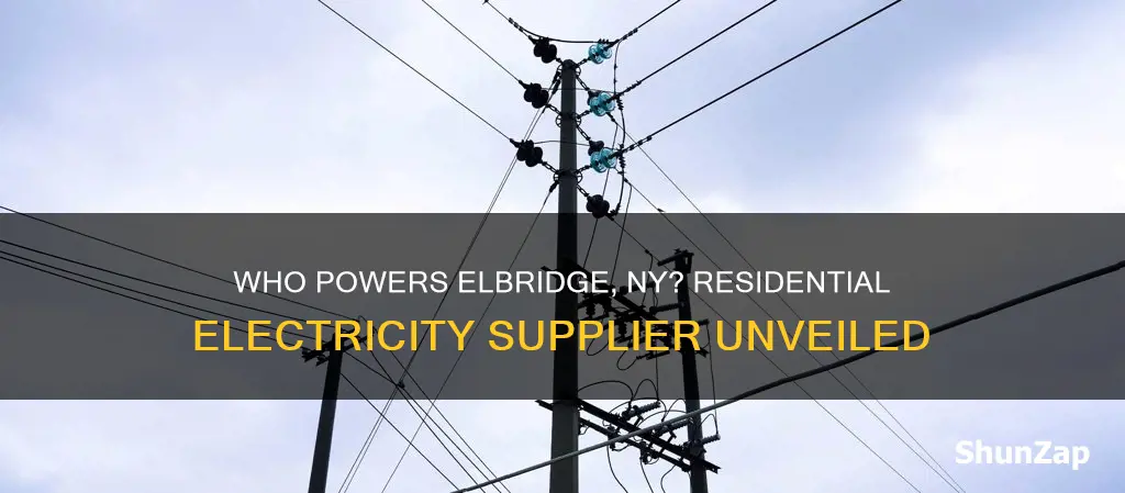 what company supplies electricity to residential in elbridge ny