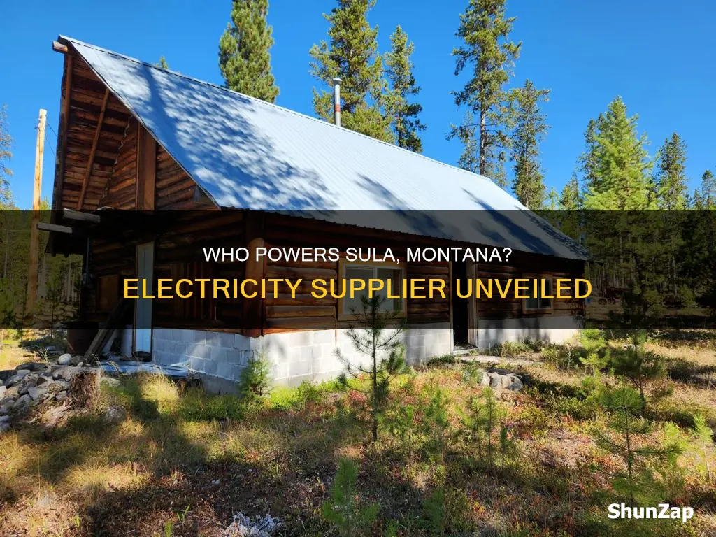 what company supplies electricity to sula mt