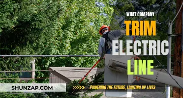 Trimming Electric Line: Company Strategies for Cost-Effective Power