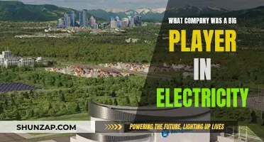 Electricity's History: A Company's Dominance