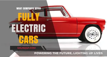 Top Companies Leading the Charge in Fully Electric Vehicles