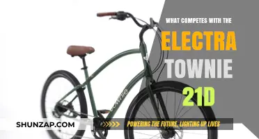 Best Alternatives to the Electra Townie 21D