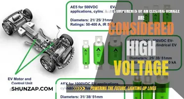 High Voltage Electric Vehicle Components: What's Under the Hood?