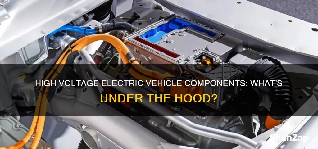 what components of an electric vehicle are considered high voltage