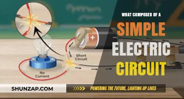 Electric Circuit Basics: Components and Functionality