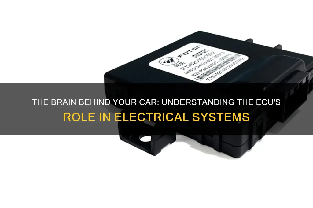 what computer called that control the electrical system in car