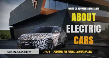 Consumer Insights: Electric Cars' Pros, Cons, and Real-World Experiences