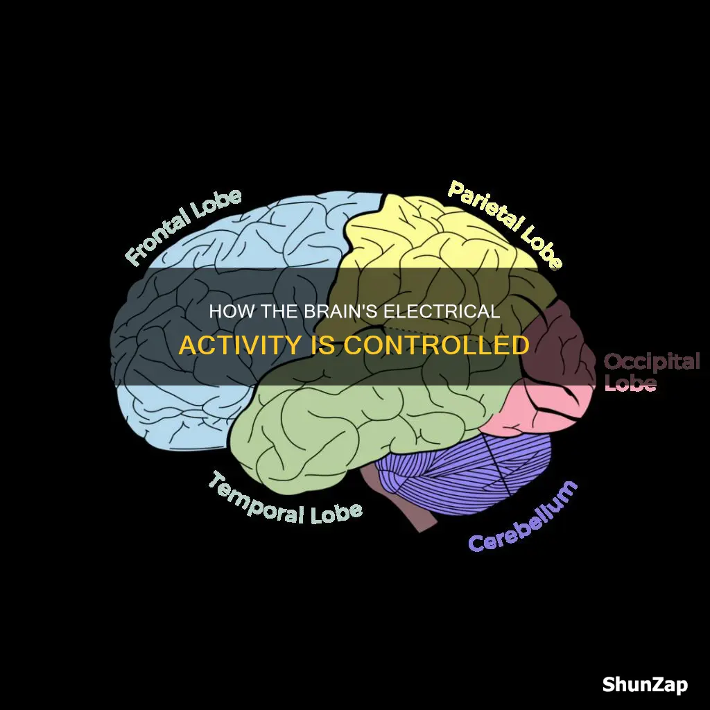 what controls electrical activity in the brain
