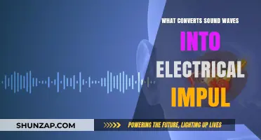 How Ears Transform Sound Waves Into Electrical Signals