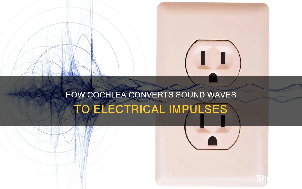 what converts sound waves into electrical impulse