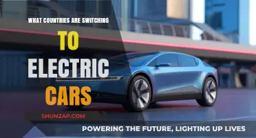 Global Shift: Countries Leading the Transition to Electric Vehicles