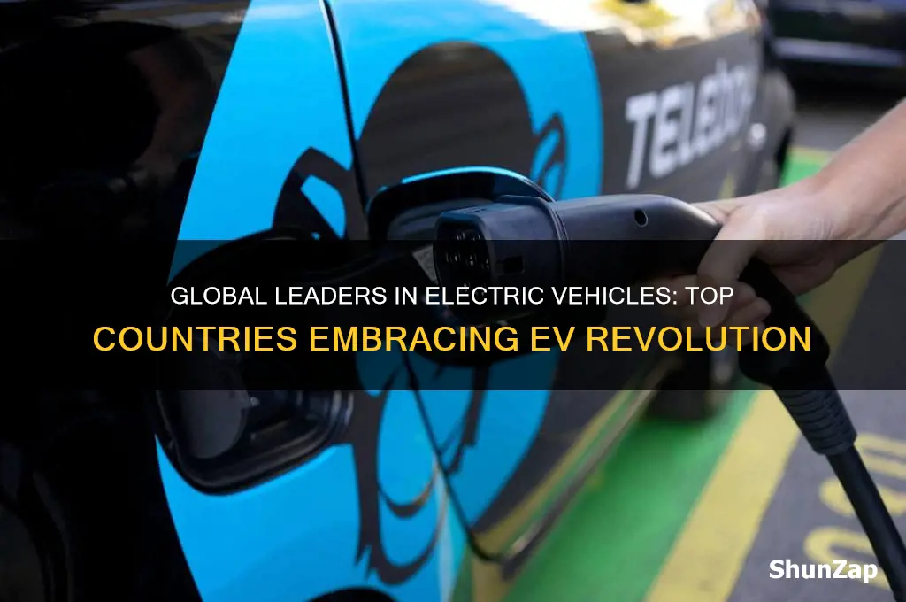 what countries have the most electric cars