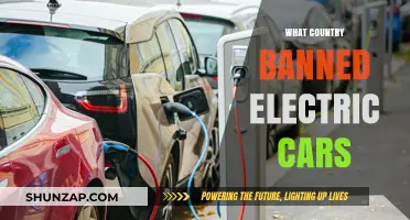 Which Nation Banned Electric Vehicles and Why It Matters