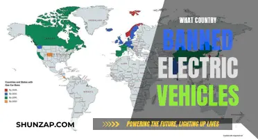 Global Electric Vehicle Ban: Which Country Led the Way?