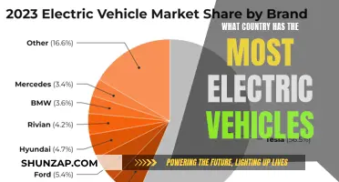 Global EV Leadership: Who's at the Forefront of Electric Vehicle Adoption?