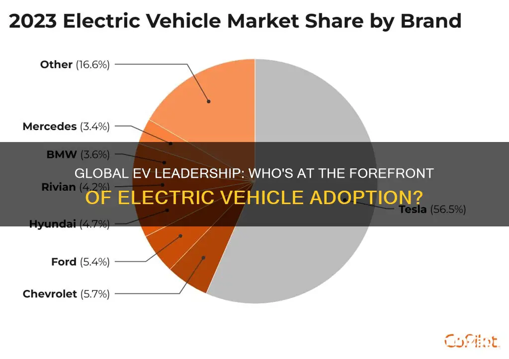 what country has the most electric vehicles