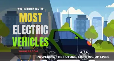 Electric Vehicle Revolution: Global Adoption Leaders