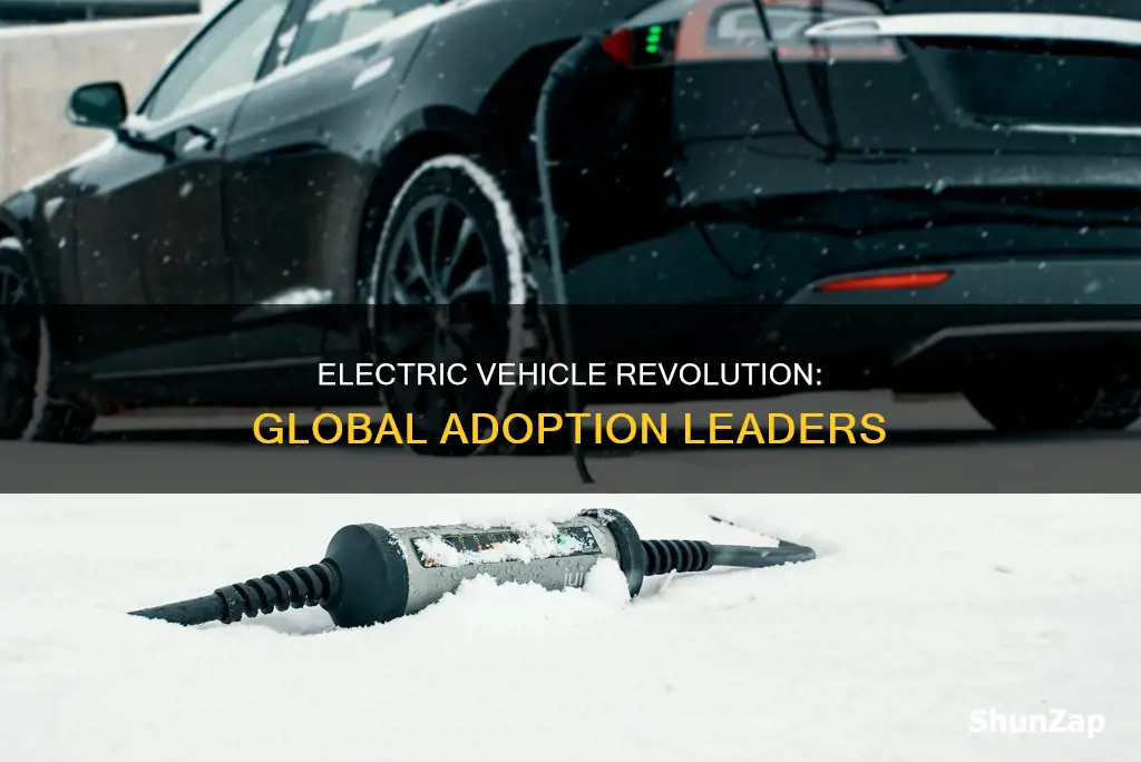 what country has the most electric vehicles