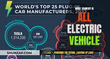 Global Shift: All-Electric Vehicles Take Over the World