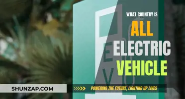 Electric Vehicles: A Country-Wide Revolution on the Roads
