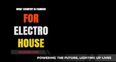 Electro House Origins: Which Country is the Genre's Pioneer?