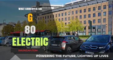 Electric Revolution: This Country's 80% EV Target