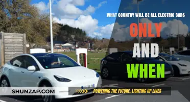 Which Nation Will Lead the All-Electric Car Revolution and When?
