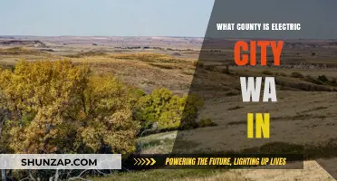 Electric City, WA: Which County?