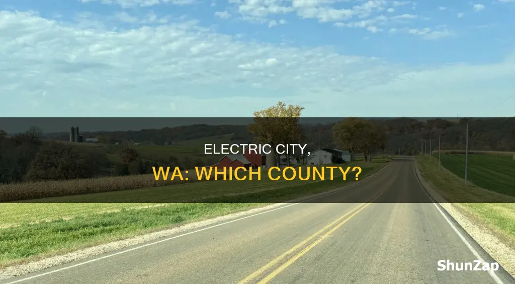 what county is electric city wa in
