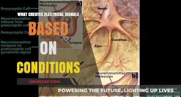 How Conditions Create Electrical Signals