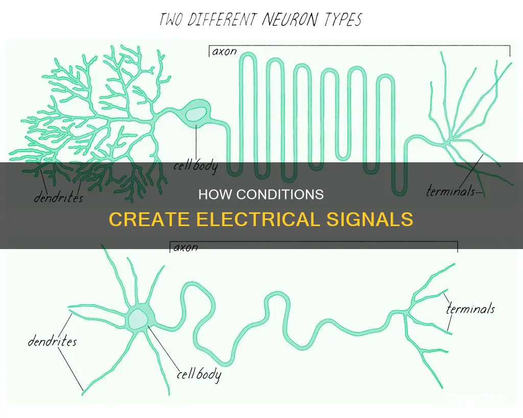 what creates electrical signals based on conditions