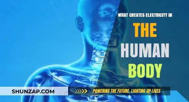 How Human Body Electricity Works