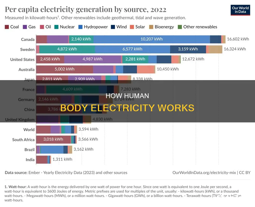 what creates electricity in the human body