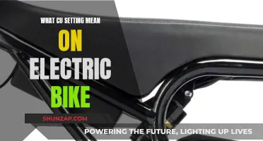 Understanding Electric Bike Settings: What's CU Setting?